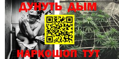 дживик Пенза