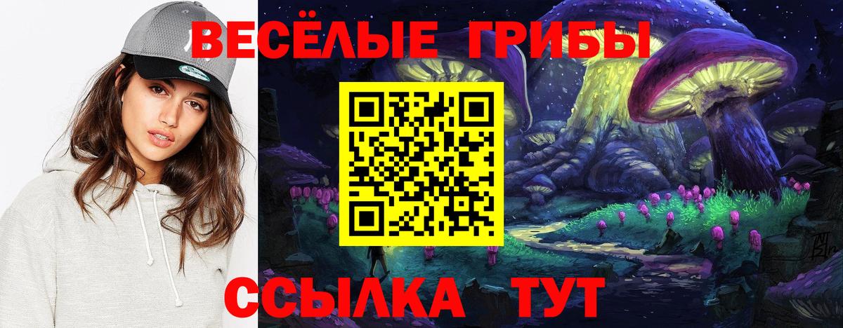 Галлюциногенные грибы Psilocybe Рязань
